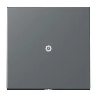 Jung Leitungsauslass mit Zugentlastung, Serie LS, gris foncé 31 LC990A202