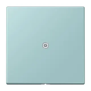 Jung Leitungsauslass mit Zugentlastung, Serie LS, céruléen clair LC990A214