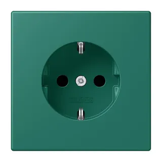 Jung SCHUKO Steckdose, 16 A 250 V ~, SAFETY+, Serie LS, vert anglais LC1520KI216