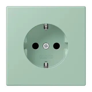 Jung SCHUKO Steckdose, 16 A 250 V ~, SAFETY+, Serie LS, vert anglais clair LC1520KI217