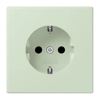 Jung SCHUKO Steckdose, 16 A 250 V ~, SAFETY+, Serie LS, vert anglâis pale LC1520KI218