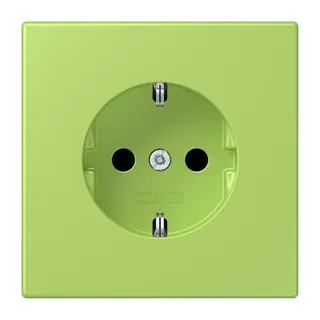 Jung SCHUKO Steckdose, 16 A 250 V ~, SAFETY+, Serie LS, vert clair LC1520KI221