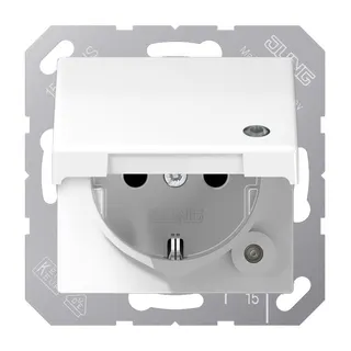 Jung SCHUKO Steckdose, 16 A 250 V ~, ohne Krallen, mit Funktionsanzeige, Duroplast antimikrob SPAS1520KLKOWW