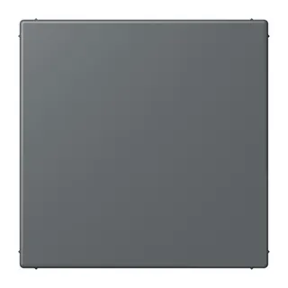 Jung Blind-Abdeckung (gerastet), Thermoplast lackiert, Serie LS, gris foncé 31 LC994B202