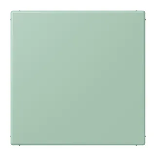 Jung Blind-Abdeckung (gerastet), Thermoplast lackiert, Serie LS, vert anglais clair LC994B217