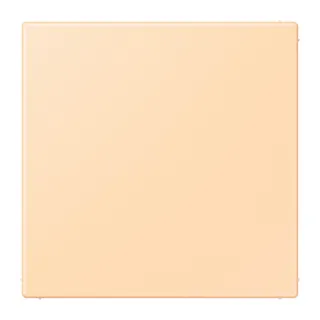 Jung Blind-Abdeckung (gerastet), Thermoplast lackiert, Serie LS, ocre LC994B223