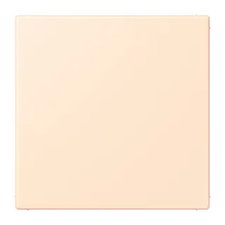 Jung Blind-Abdeckung (gerastet), Thermoplast lackiert, Serie LS, terre sienne pâle LC994B238
