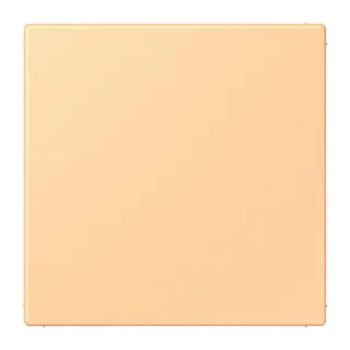 Jung Blind-Abdeckung (gerastet), Thermoplast lackiert, Serie LS, terre sienne claire 59 LC994B258