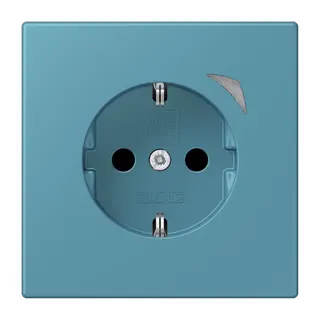 Jung HOME SCHUKO® Steckdose, 16 A 250 V ~, Schraubklemmen, mit Funktionsanzeige, SAFETY+, Thermoplast lackiert BTLC1521S212