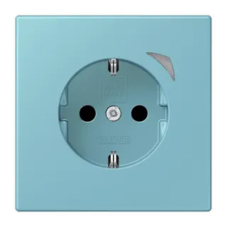 Jung HOME SCHUKO® Steckdose, 16 A 250 V ~, Schraubklemmen, mit Funktionsanzeige, SAFETY+, Thermoplast lackiert BTLC1521S213