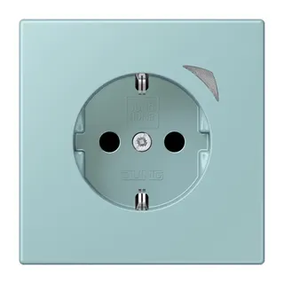 Jung HOME SCHUKO® Steckdose, 16 A 250 V ~, Schraubklemmen, mit Funktionsanzeige, SAFETY+, Thermoplast lackiert BTLC1521S214