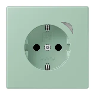 Jung HOME SCHUKO® Steckdose, 16 A 250 V ~, Schraubklemmen, mit Funktionsanzeige, SAFETY+, Thermoplast lackiert BTLC1521S217