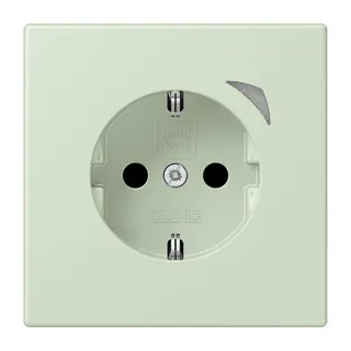 Jung HOME SCHUKO® Steckdose, 16 A 250 V ~, Schraubklemmen, mit Funktionsanzeige, SAFETY+, Thermoplast lackiert BTLC1521S218