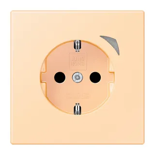 Jung HOME SCHUKO® Steckdose, 16 A 250 V ~, Schraubklemmen, mit Funktionsanzeige, SAFETY+, Thermoplast lackiert BTLC1521S223