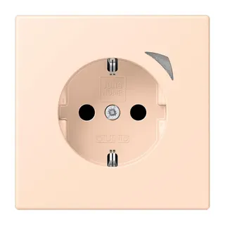 Jung HOME SCHUKO® Steckdose, 16 A 250 V ~, Schraubklemmen, mit Funktionsanzeige, SAFETY+, Thermoplast lackiert BTLC1521S228