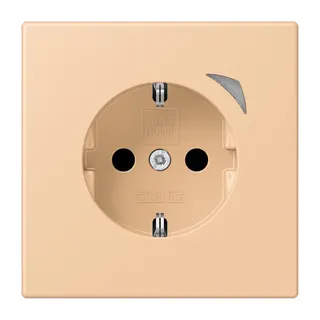 Jung HOME SCHUKO® Steckdose, 16 A 250 V ~, Schraubklemmen, mit Funktionsanzeige, SAFETY+, Thermoplast lackiert BTLC1521S237