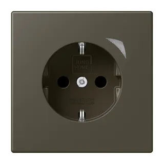 Jung HOME SCHUKO® Steckdose, 16 A 250 V ~, Schraubklemmen, mit Funktionsanzeige, SAFETY+, Thermoplast lackiert BTLC1521S241