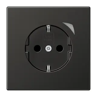Jung SCHUKO Steckdose, 16 A 250 V ~, Schraubklemmen, mit Funktionsanzeige, SAFETY+, Thermoplast lackiert, Serie LS, BTAL1521SEAN-L