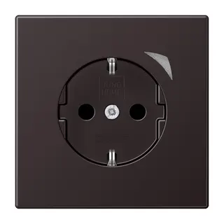 Jung SCHUKO Steckdose, 16 A 250 V ~, Schraubklemmen, mit Funktionsanzeige, SAFETY+, Thermoplast lackiert, Serie LS, BTAL1521SED-L