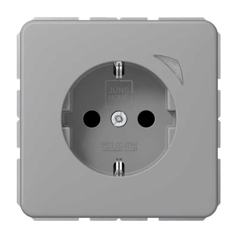 Jung SCHUKO Steckdose, 16 A 250 V ~, Schraubklemmen, mit Funktionsanzeige, SAFETY+, Thermoplast, Serie CD, grau BTCD1521SGR