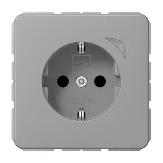 Jung SCHUKO Steckdose, 16 A 250 V ~, Schraubklemmen, mit Funktionsanzeige, SAFETY+, Duroplast, Serie CD, grau BTCD1521SEGR