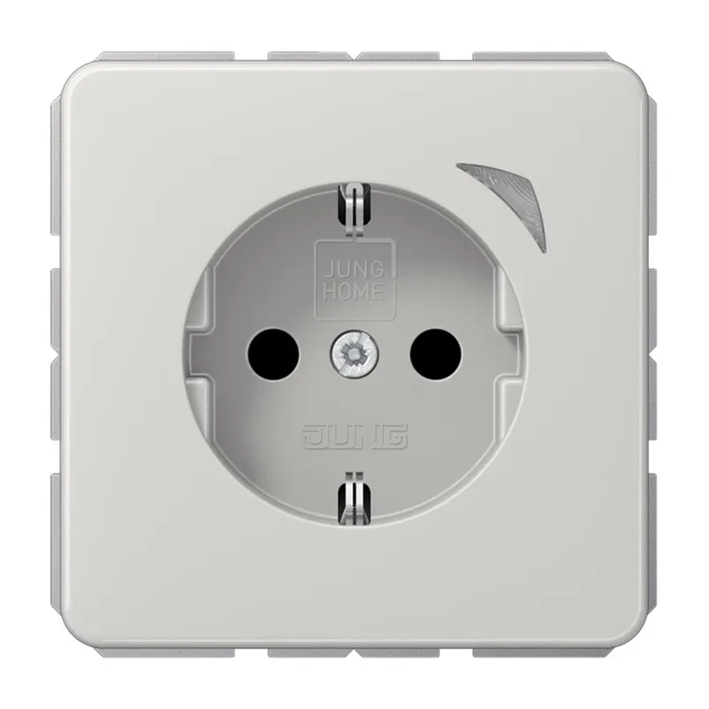 Jung SCHUKO Steckdose, 16 A 250 V ~, Schraubklemmen, mit Funktionsanzeige, SAFETY+, Thermoplast, Serie CD, lichtgra BTCD1521SLG