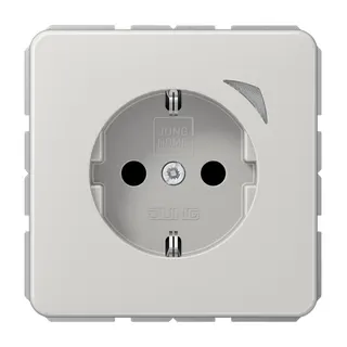 Jung SCHUKO Steckdose, 16 A 250 V ~, Schraubklemmen, mit Funktionsanzeige, SAFETY+, Duroplast, Serie CD, lichtgrau BTCD1521SELG