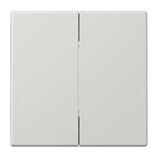 Jung Friends of Hue Funk-Wandsender Set 4-kanalig, Serie LS, lichtgrau FOHLS995LG