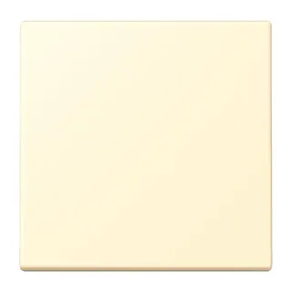 Jung EnOcean Funk-Wandsender 2-kanalig, Serie LS, blanc ENOLC990201