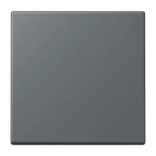 Jung EnOcean Funk-Wandsender 2-kanalig, Serie LS, gris foncé 31 ENOLC990202