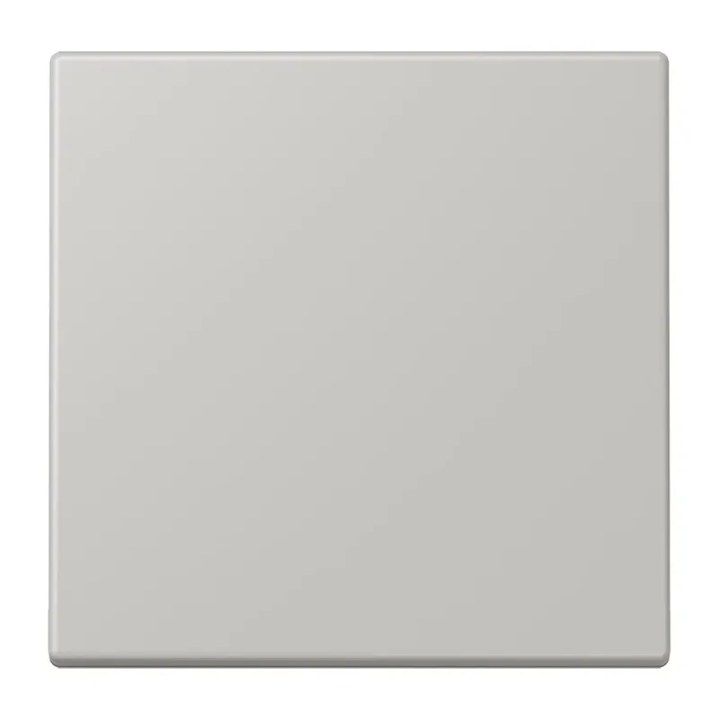 Jung Bluetooth® Low Energy Funk-Wandsender 2-kanalig, Serie LS, gris clair 31 BLELC990205