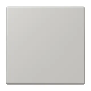 Jung EnOcean Funk-Wandsender 2-kanalig, Serie LS, gris clair 31 ENOLC990205