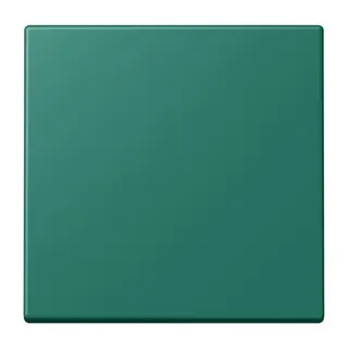 Jung EnOcean Funk-Wandsender 2-kanalig, Serie LS, vert anglais ENOLC990216