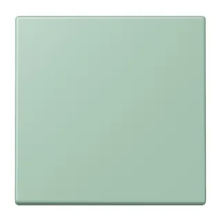 Jung EnOcean Funk-Wandsender 2-kanalig, Serie LS, vert anglais clair ENOLC990217
