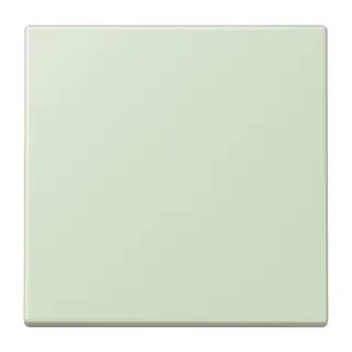 Jung EnOcean Funk-Wandsender 2-kanalig, Serie LS, vert anglâis pale ENOLC990218