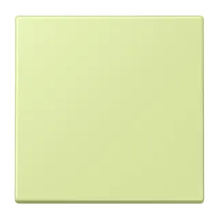 Jung EnOcean Funk-Wandsender 2-kanalig, Serie LS, vert jaune clair ENOLC990222