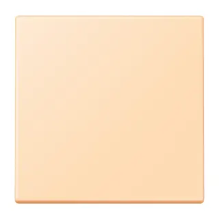 Jung EnOcean Funk-Wandsender 2-kanalig, Serie LS, ocre ENOLC990223