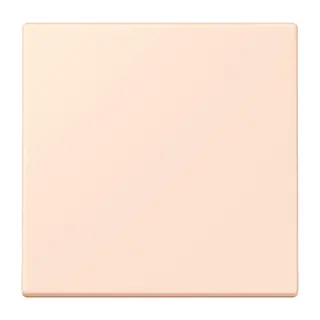 Jung EnOcean Funk-Wandsender 2-kanalig, Serie LS, orange pâle ENOLC990226