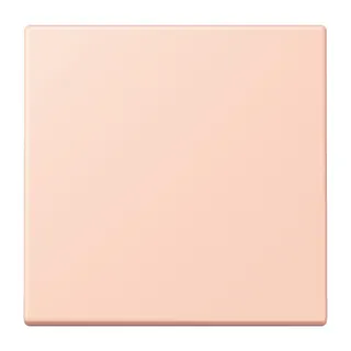Jung EnOcean Funk-Wandsender 2-kanalig, Serie LS, l'ocre rouge clair ENOLC990234
