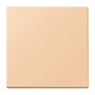 Jung EnOcean Funk-Wandsender 2-kanalig, Serie LS, terre sienne claire 31 ENOLC990237