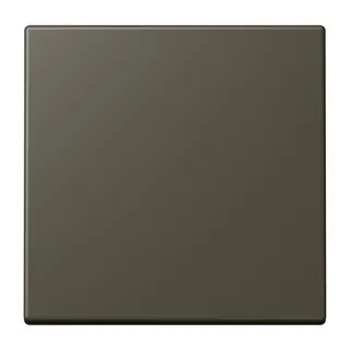 Jung EnOcean Funk-Wandsender 2-kanalig, Serie LS, ombre naturelle 31 ENOLC990241