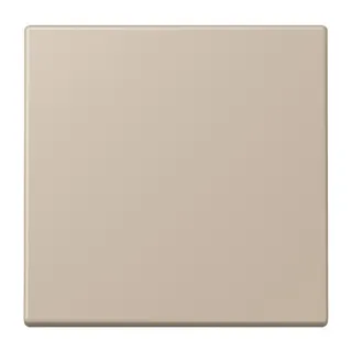 Jung EnOcean Funk-Wandsender 2-kanalig, Serie LS, ombre naturelle claire ENOLC990243
