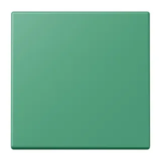 Jung EnOcean Funk-Wandsender 2-kanalig, Serie LS, vert 59 ENOLC990250