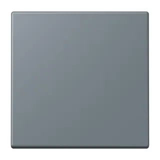 Jung EnOcean Funk-Wandsender 2-kanalig, Serie LS, gris 59 ENOLC990251