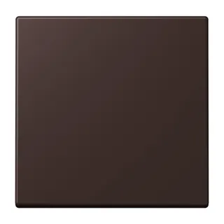 Jung EnOcean Funk-Wandsender 2-kanalig, Serie LS, terre d?ombre br?lée 59 ENOLC990252