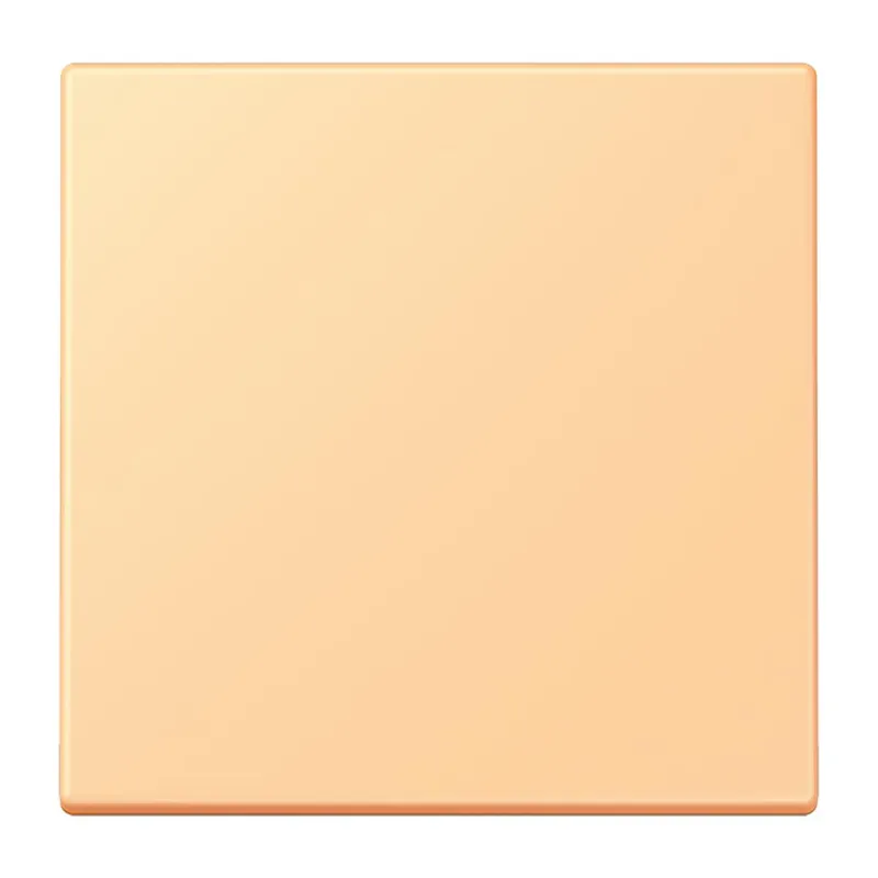 Jung Wippe 1fach, Serie LS, terre sienne claire 59 LC990258
