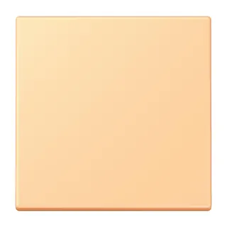 Jung EnOcean Funk-Wandsender 2-kanalig, Serie LS, terre sienne claire 59 ENOLC990258