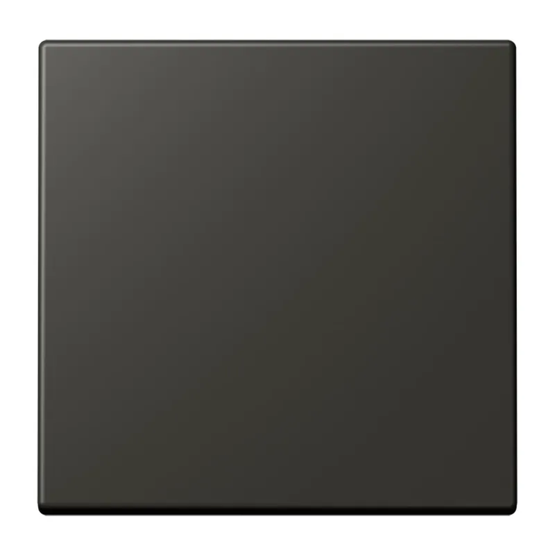 Jung Wippe für Taster 1fach, Serie LS, ombre naturelle 59 LC101259