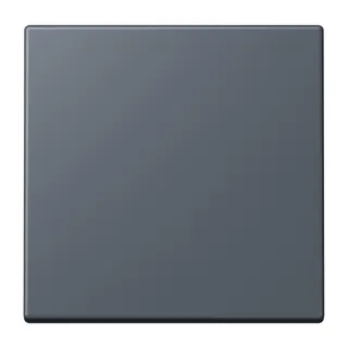 Jung EnOcean Funk-Wandsender 2-kanalig, Serie LS, gris fonce 59 ENOLC990262