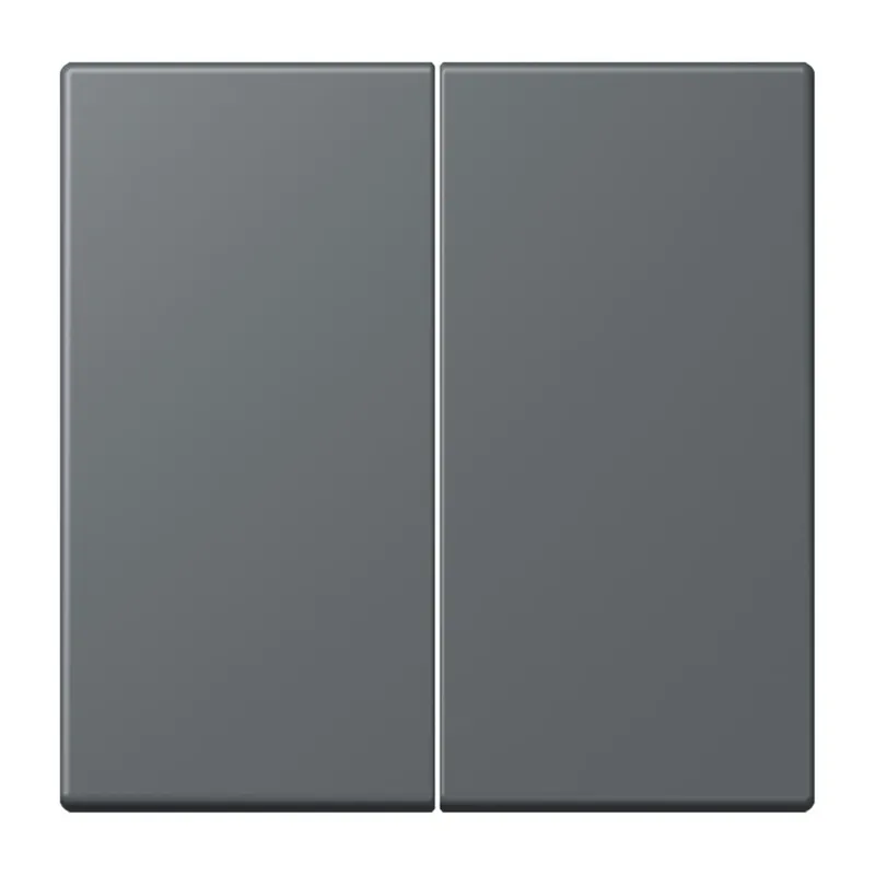 Jung Wippe für Taster 2fach, Serie LS, gris foncé 31 LC102202